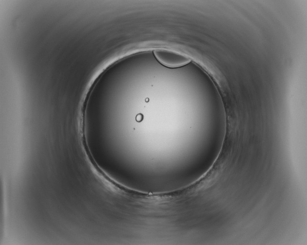 X0000114551527200910191401