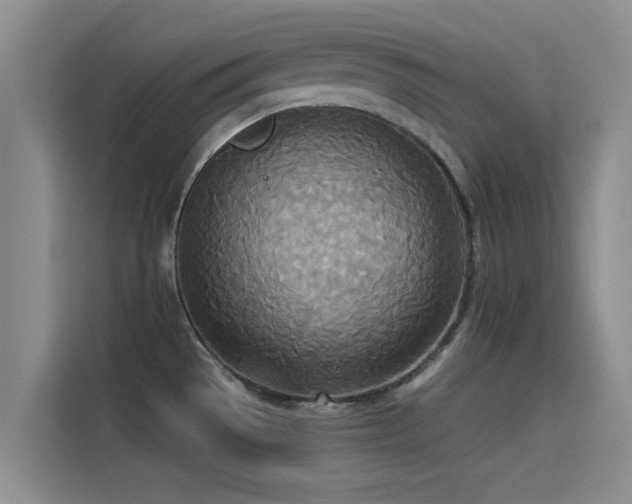 X0000114551529200910191401