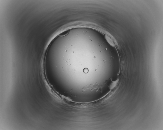 X0000114551530200910191401
