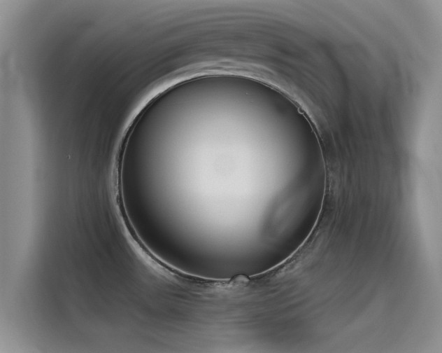X0000114551531200910191401