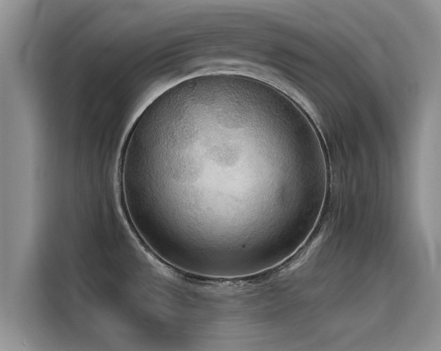 X0000114551533200910191401