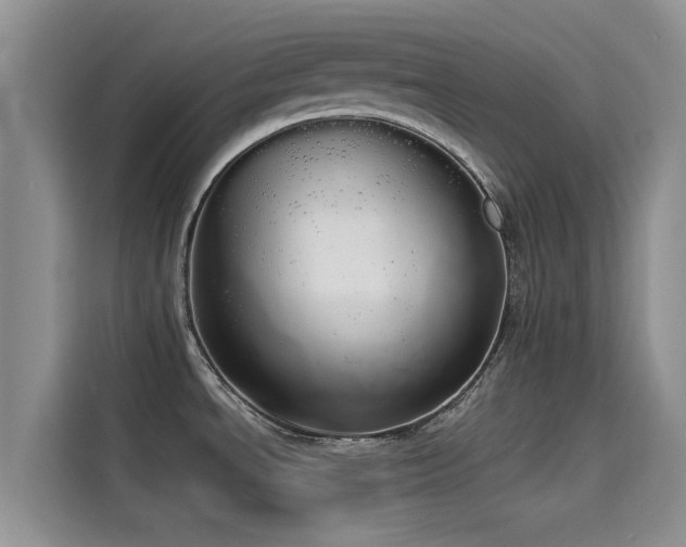X0000114551534200910191401