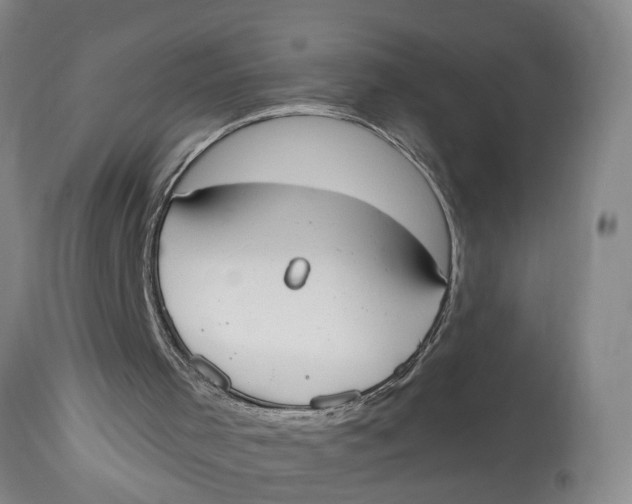 X0000114550001200911091206