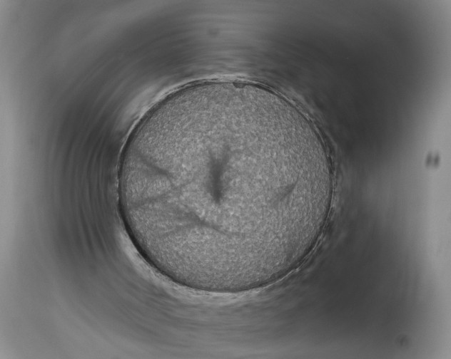 X0000114550002200911091206