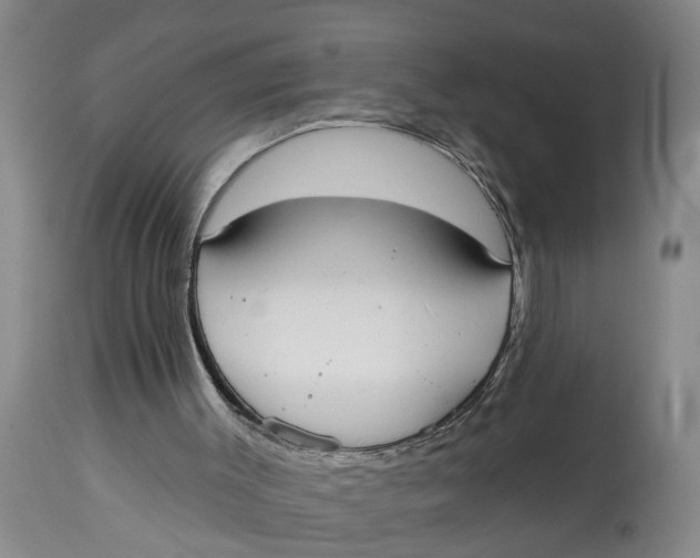 X0000114550003200911091206