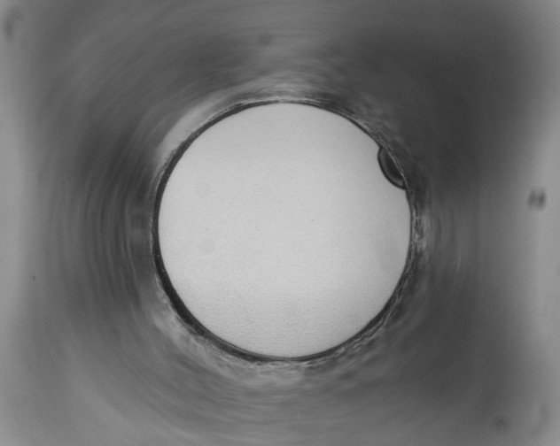 X0000114550004200911091206
