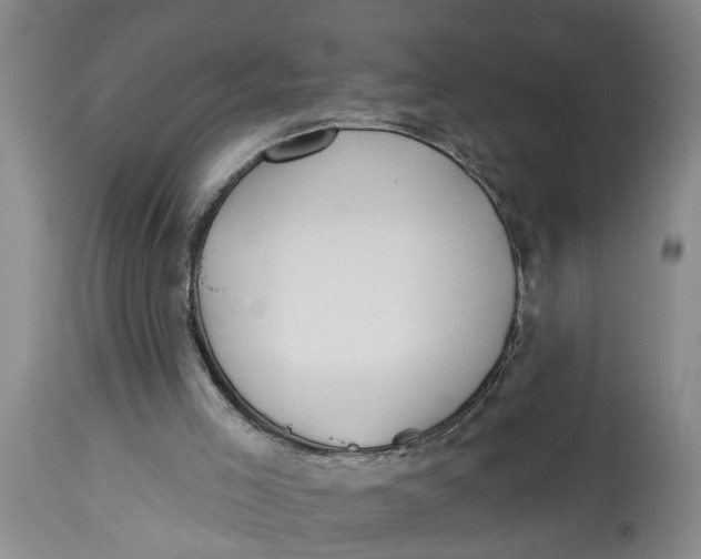 X0000114550005200911091206