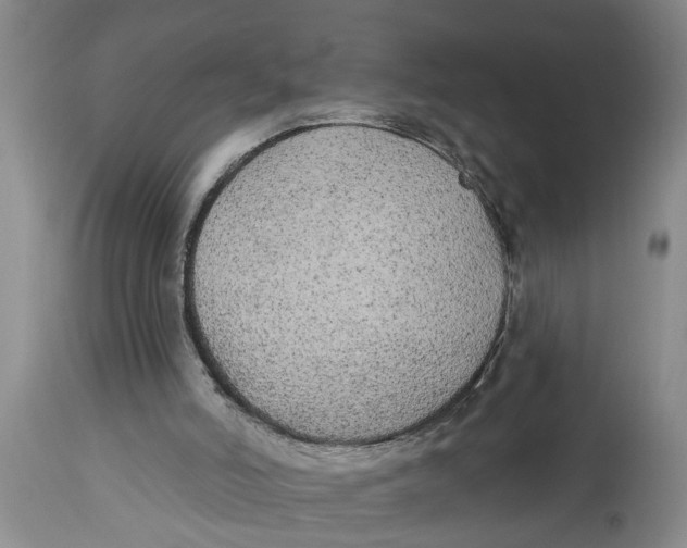 X0000114550006200911091206