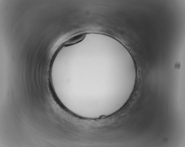 X0000114550007200911091206