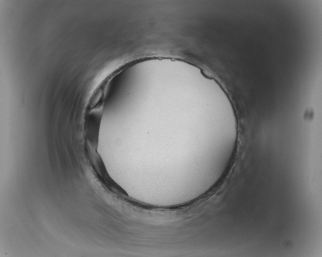 X0000114550008200911091206