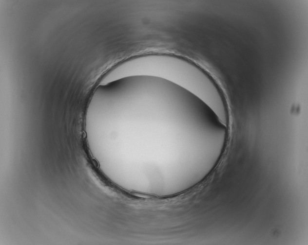 X0000114550009200911091206
