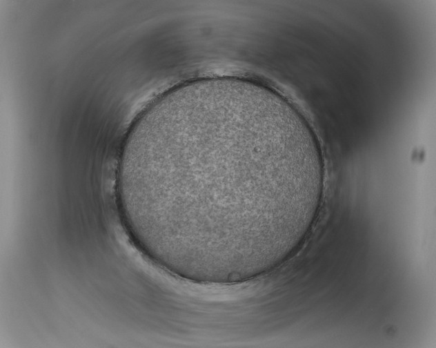X0000114550010200911091206