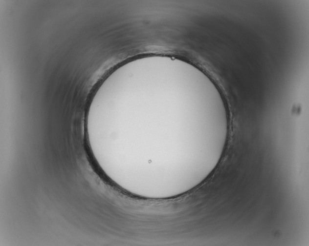 X0000114550011200911091206