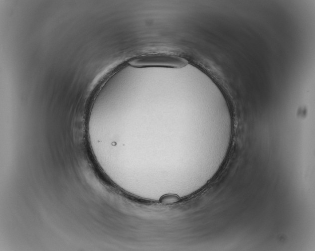 X0000114550012200911091206