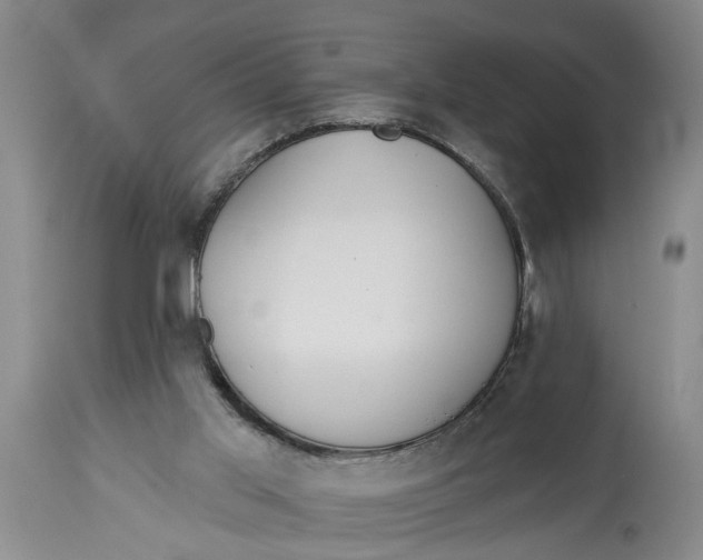 X0000114550013200911091206