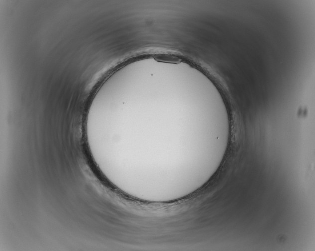 X0000114550015200911091206