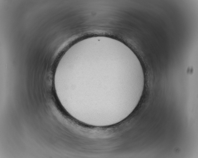 X0000114550016200911091206