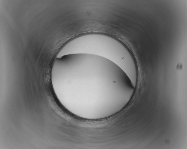 X0000114550017200911091206