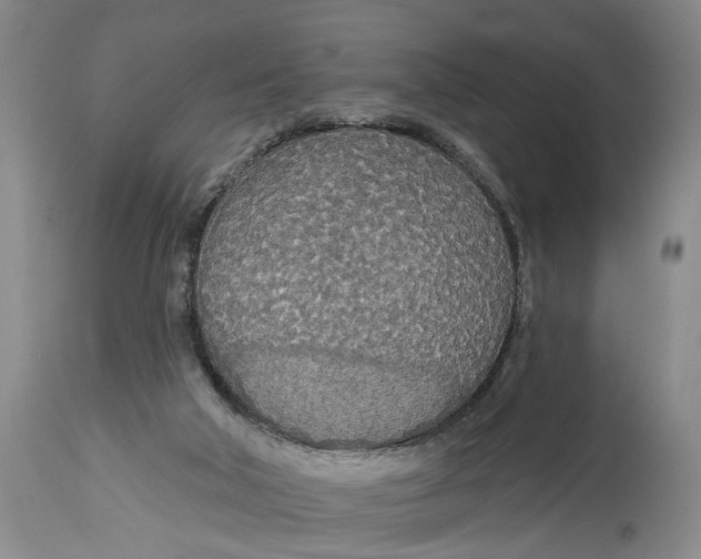 X0000114550018200911091206