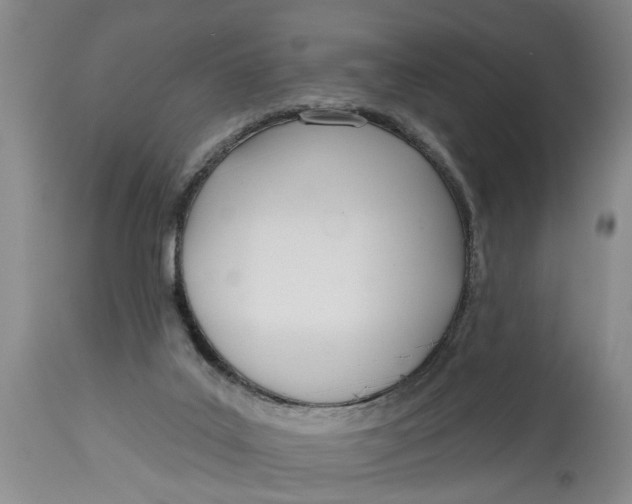 X0000114550019200911091206