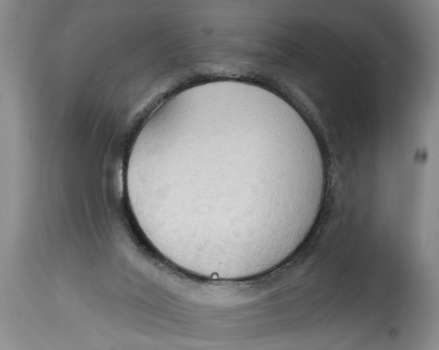 X0000114550020200911091206