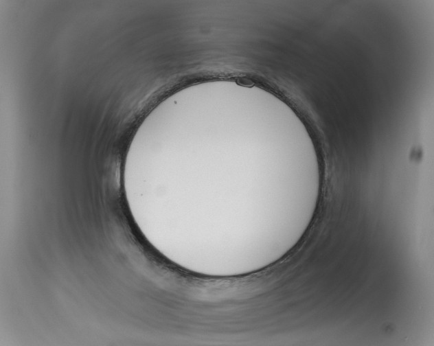 X0000114550021200911091206