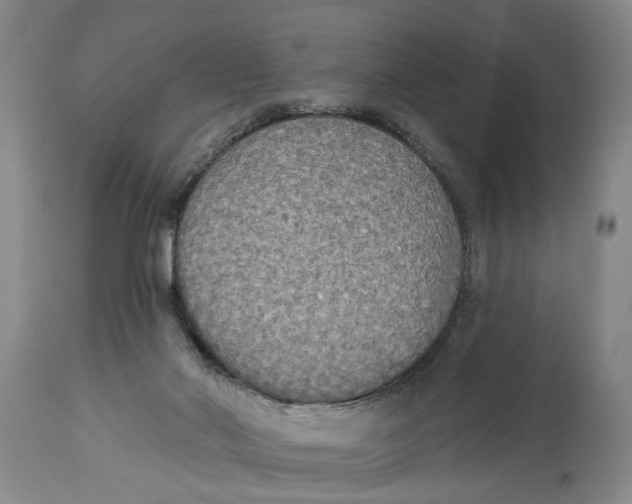 X0000114550022200911091206