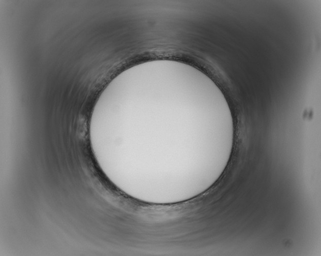 X0000114550025200911091206