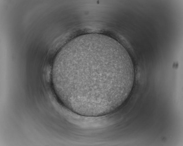X0000114550026200911091206