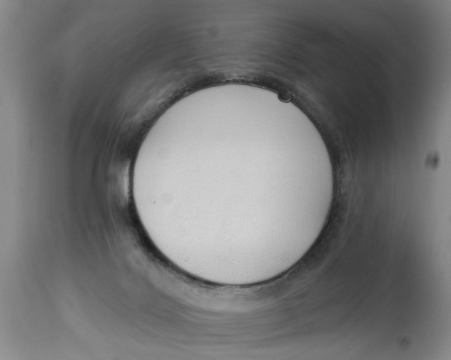 X0000114550028200911091206