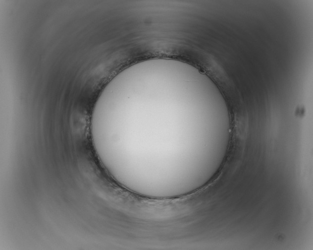 X0000114550029200911091206