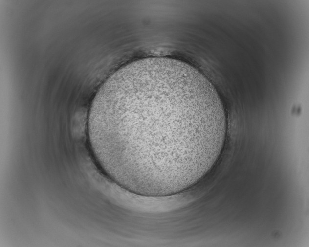 X0000114550030200911091206