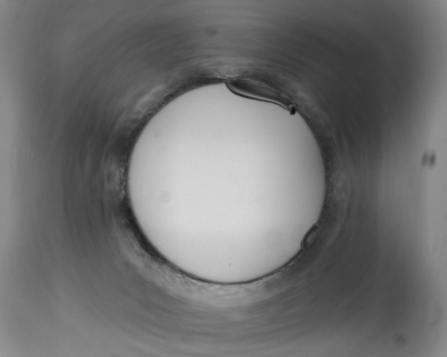 X0000114550031200911091206