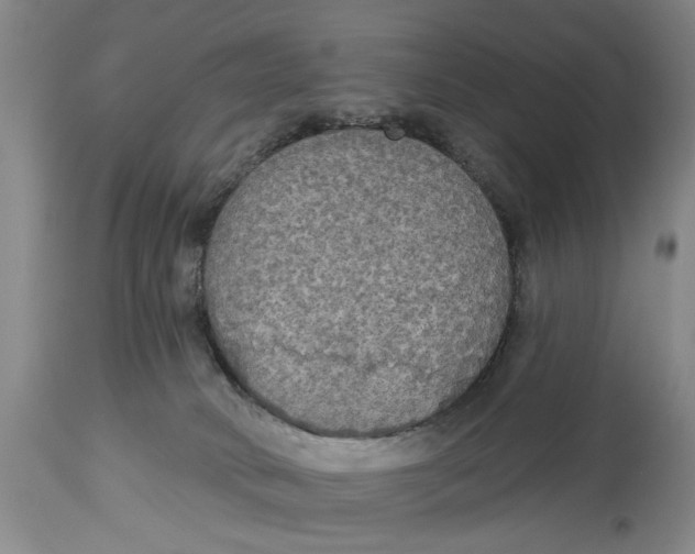 X0000114550034200911091206