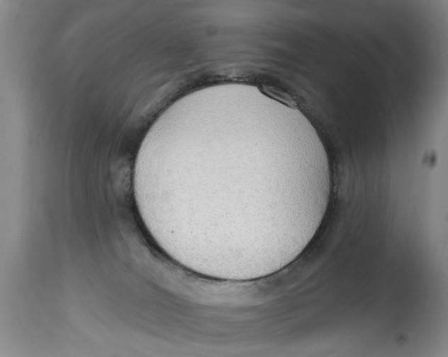 X0000114550036200911091206
