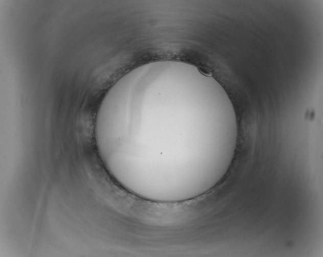 X0000114550037200911091206