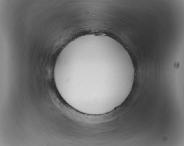 X0000114550039200911091206