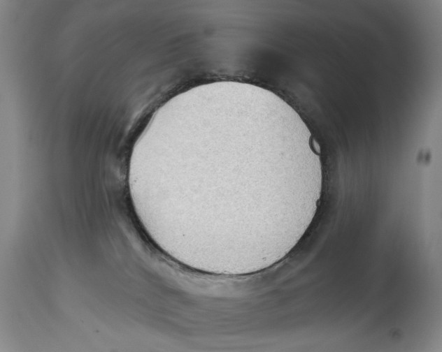 X0000114550040200911091206