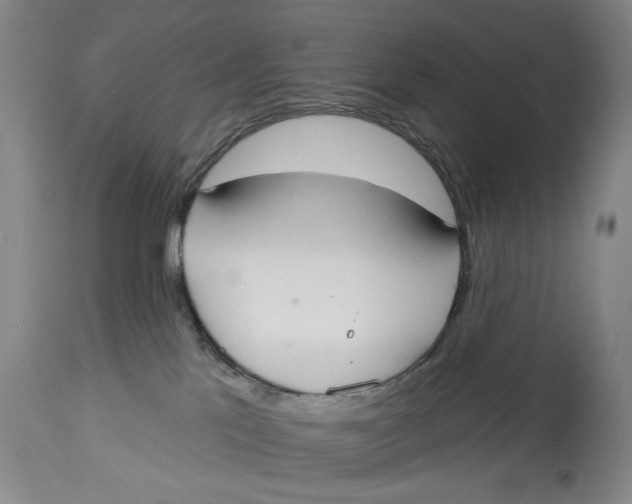 X0000114550041200911091206