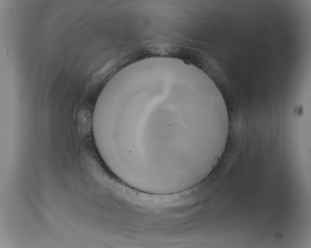 X0000114550043200911091206