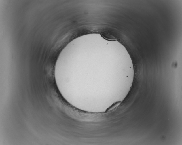 X0000114550044200911091206