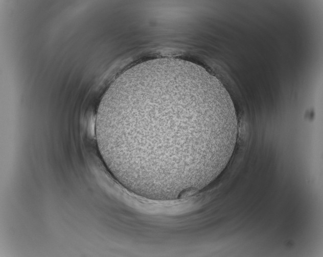 X0000114550046200911091206