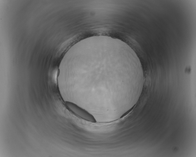 X0000114550047200911091206