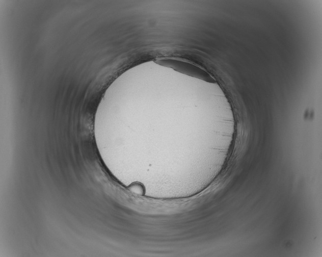 X0000114550048200911091206