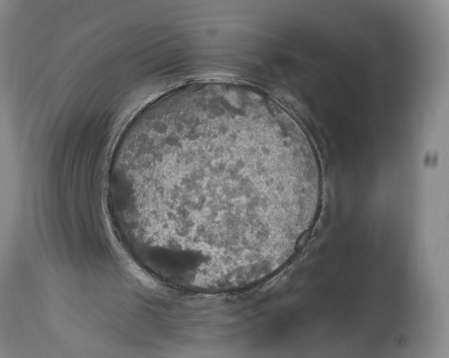 X0000114550049200911091205
