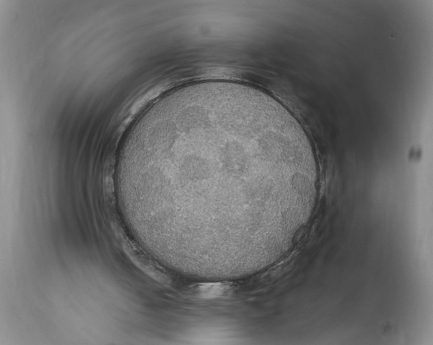 X0000114550050200911091205