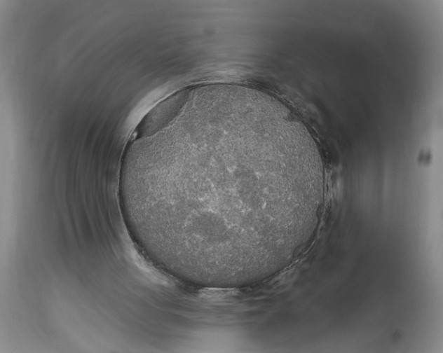 X0000114550051200911091205