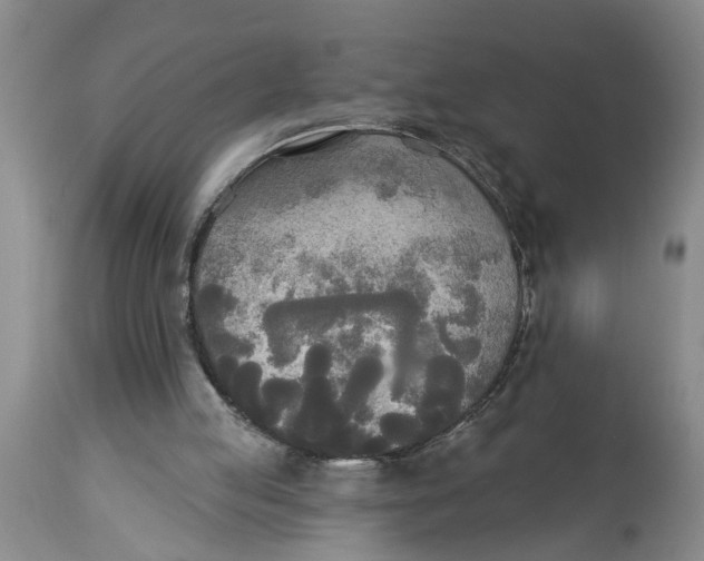 X0000114550053200911091205
