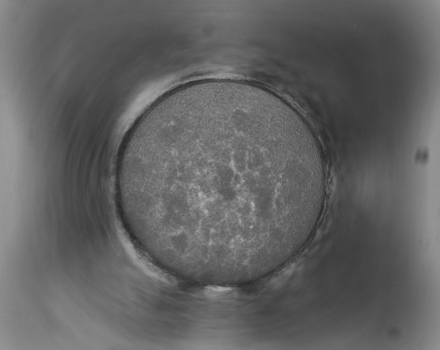 X0000114550055200911091205