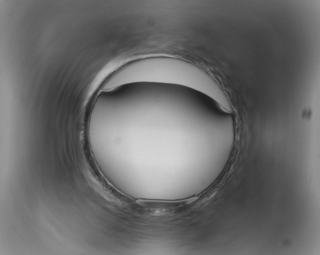 X0000114550056200911091205